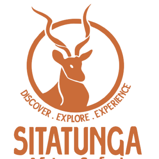 Sitatunga Africa