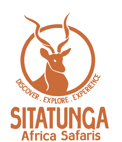 Sitatunga Africa