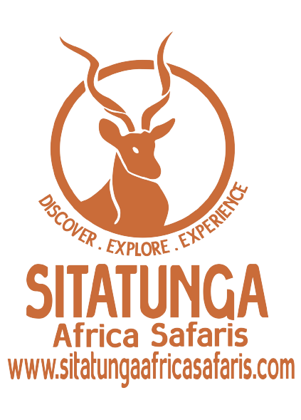 Sitatunga Africa